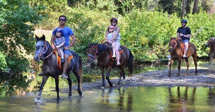 Marmaris Horse Safari Tour