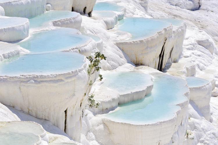  2 Days Ephesus and Pamukkale Tour from Bodrum
