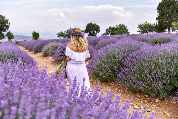 Salda Lake and Lavender Gardens Tour