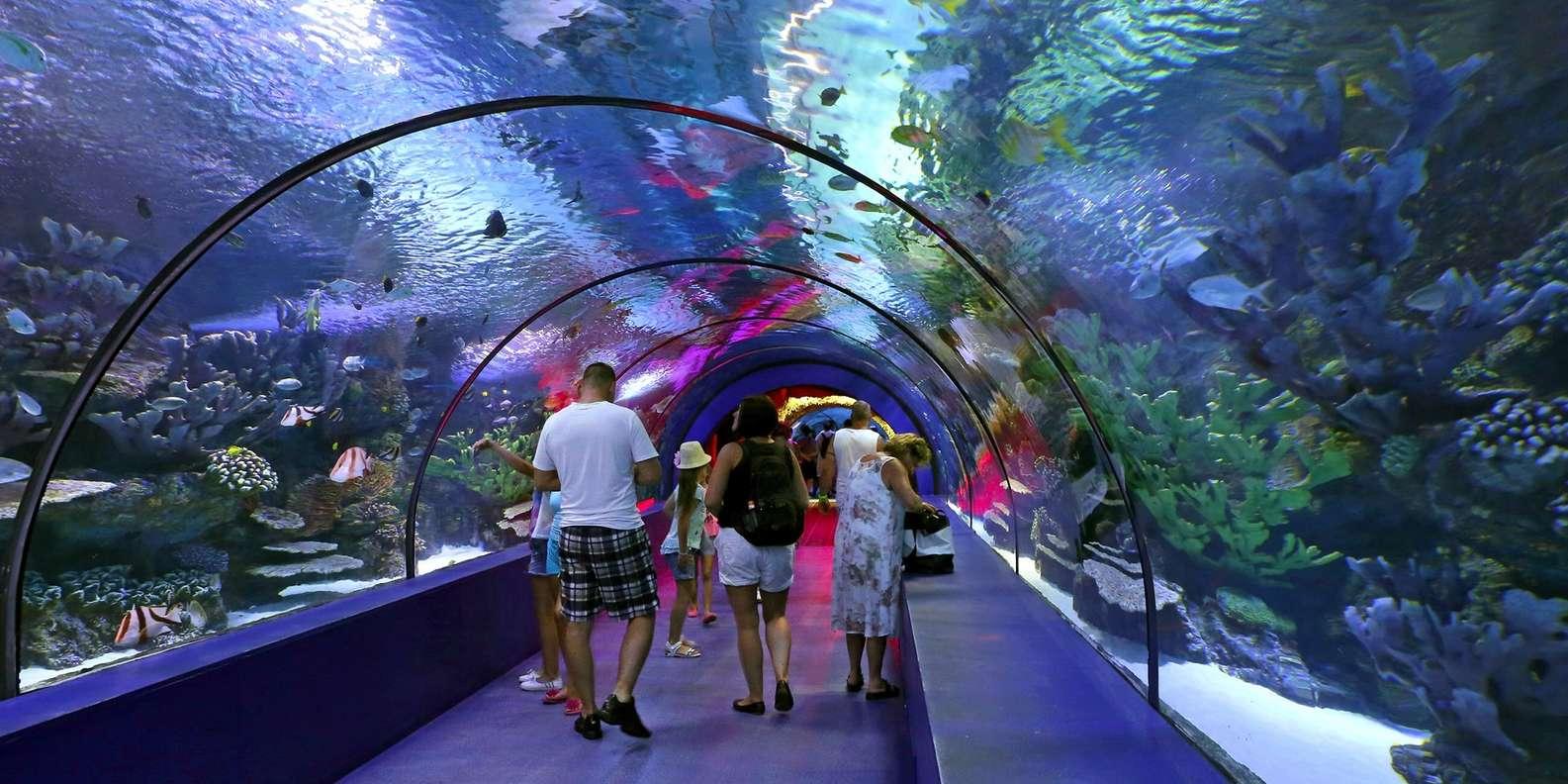 Antalya Aquarium Tour from Alanya