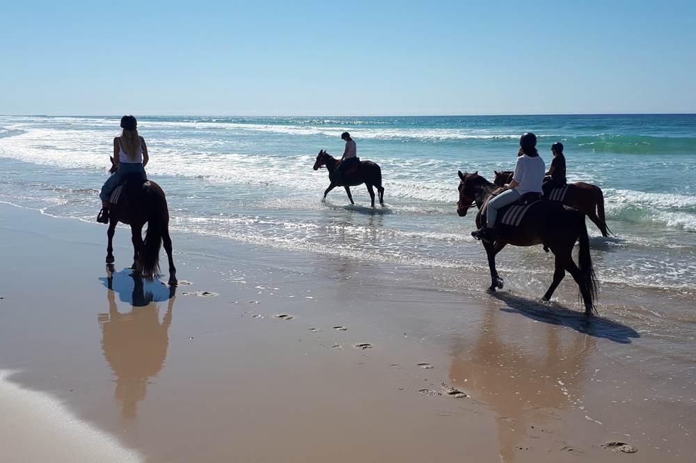  Antalya Horseback Riding Tour