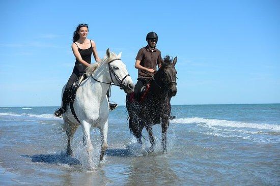  Horseback Riding Tour in Bodrum