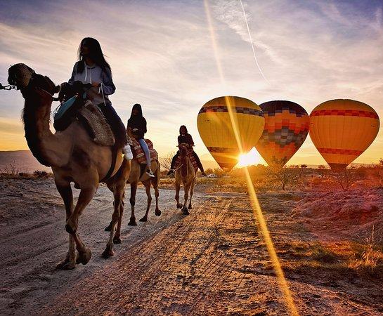 Cappadocia Camel Safari Tour