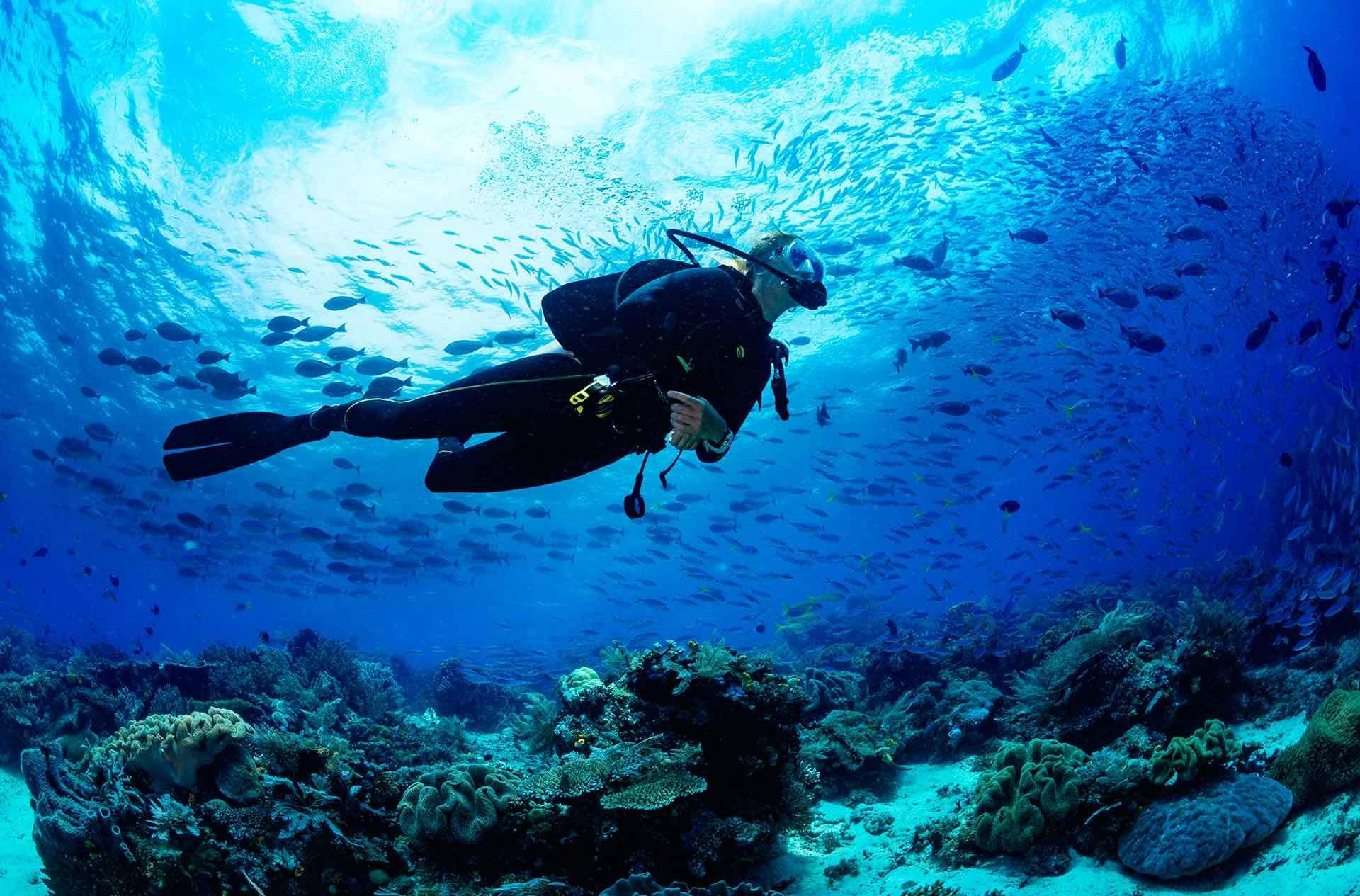 Scuba Diving in Marmaris