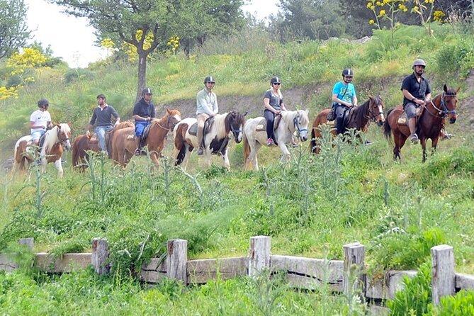  Kusadasi Horse Safari Tour