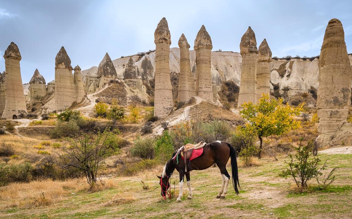  Cappadocia Horseback Riding Tour