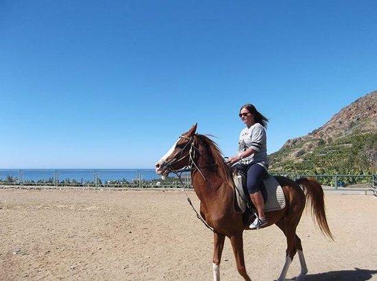 Horse Riding in Alanya