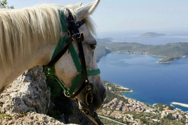Horseback Riding Tour in Kaş