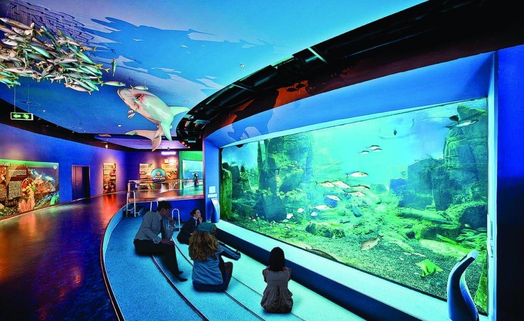İstanbul Aquarium Tour