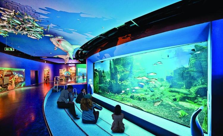 İstanbul Aquarium Tour