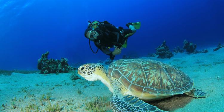 Scuba Diving in Kaş