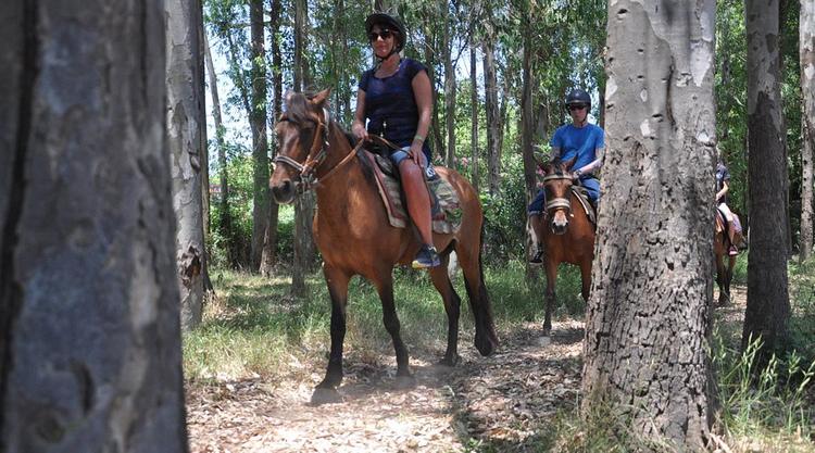 Marmaris Horse Safari Tour