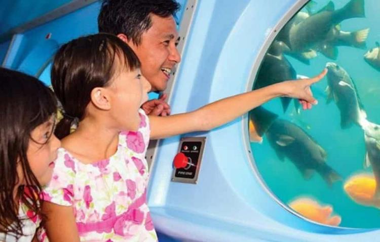 Antalya Submarine Tour