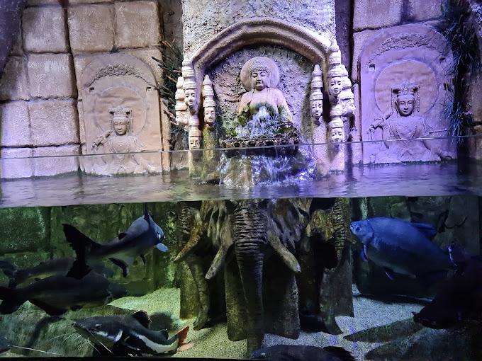 Antalya Aquarium Tour