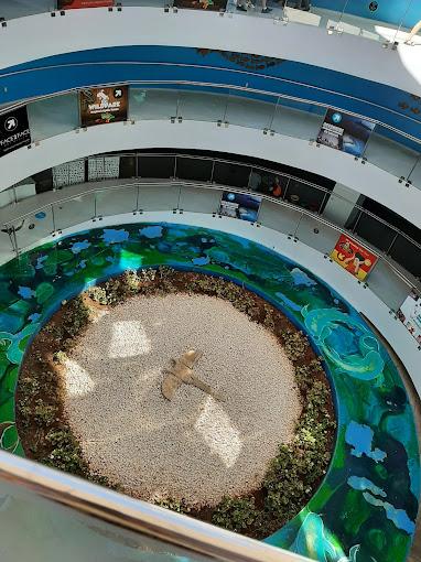 Antalya Aquarium Tour