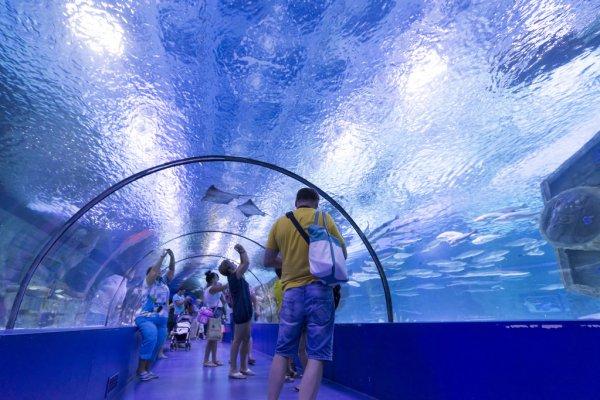 Antalya Aquarium Tour from Alanya