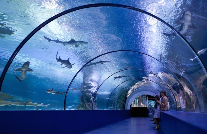 Antalya Aquarium Tour from Belek