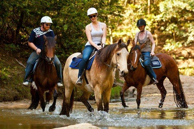 Horse Riding in Alanya