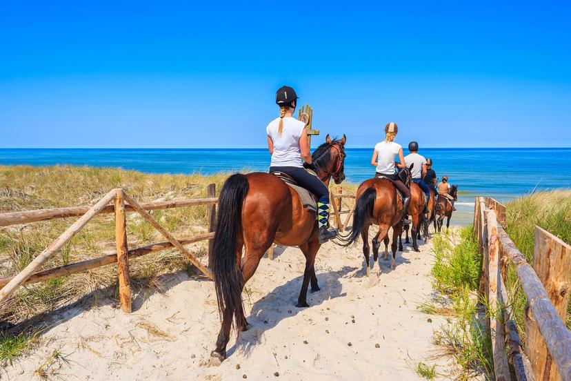 Horse Riding in Alanya