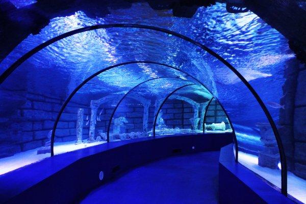 Antalya Aquarium Tour