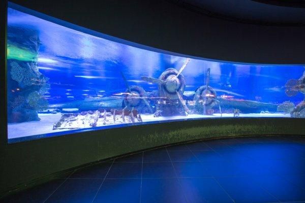 Antalya Aquarium Tour from Alanya