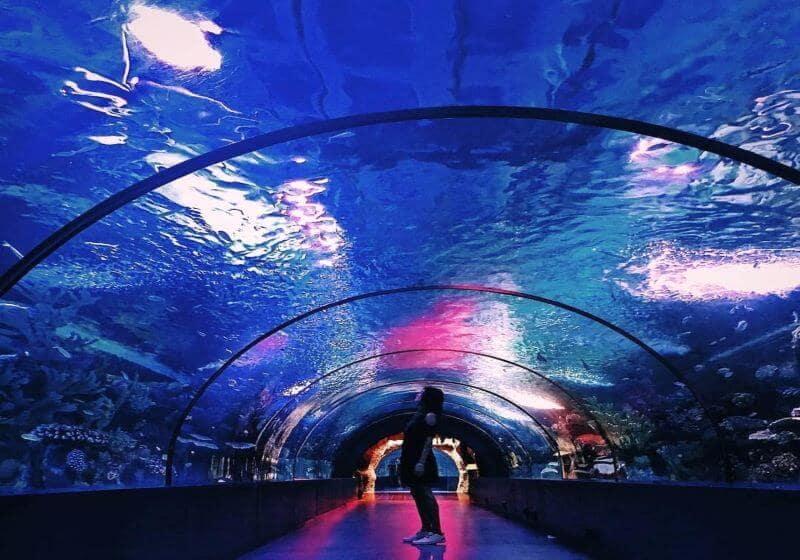Antalya Aquarium Tour