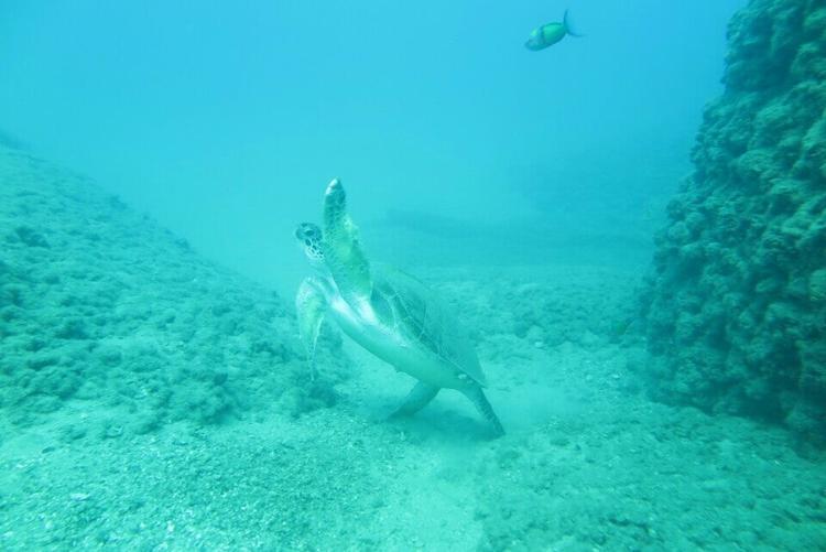 Antalya Scuba Diving Tour