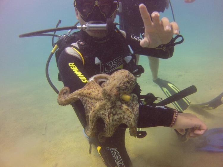 Scuba Diving in Bodrum