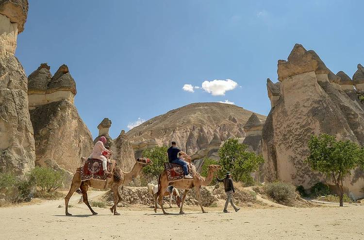 Cappadocia Camel Safari Tour