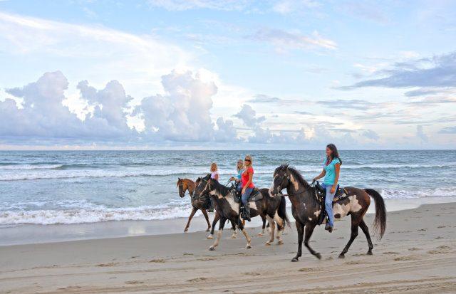  Antalya Horseback Riding Tour