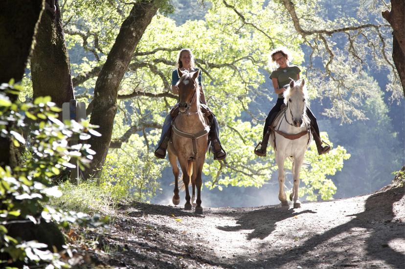 Horseback Riding in Fethiye