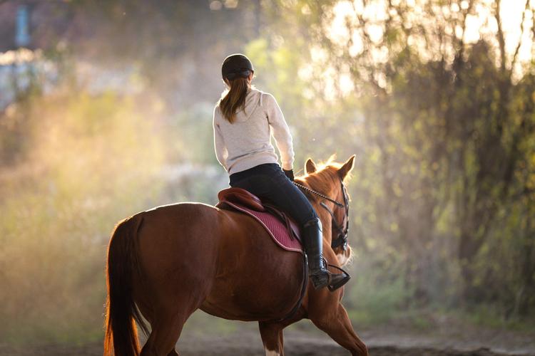 Marmaris Horse Safari Tour