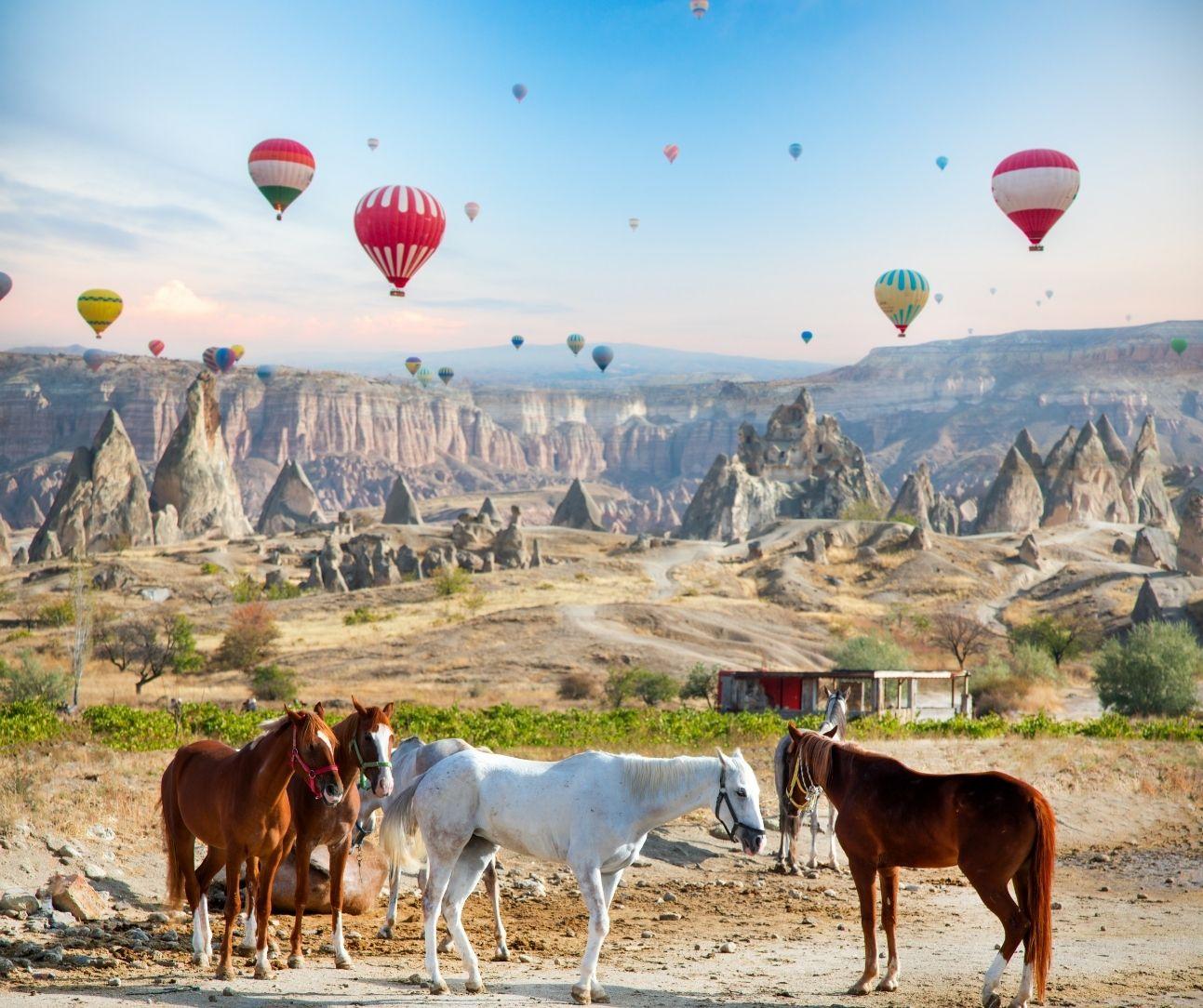  Cappadocia Horseback Riding Tour