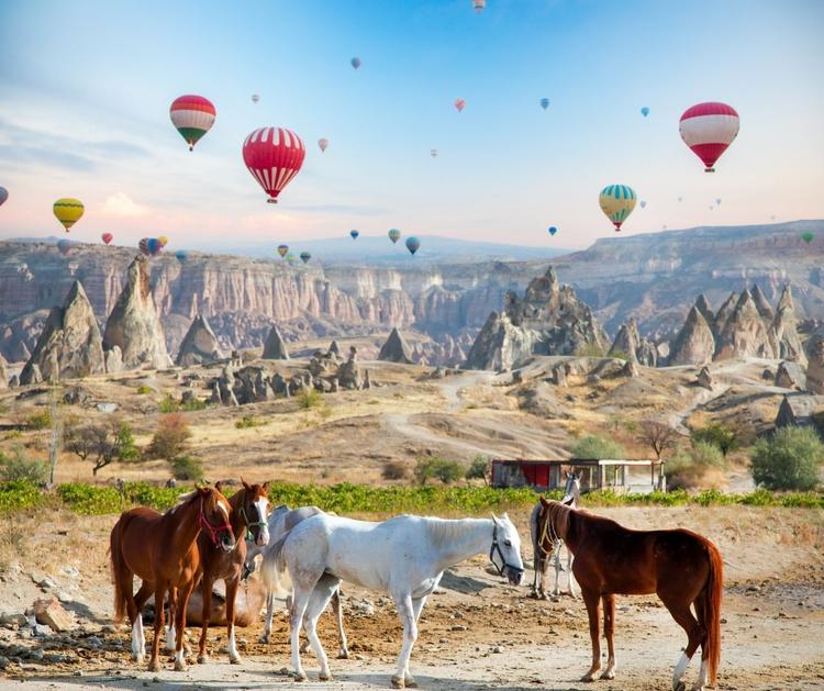  Cappadocia Horseback Riding Tour