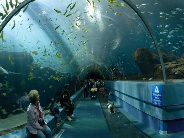 İstanbul Aquarium Tour