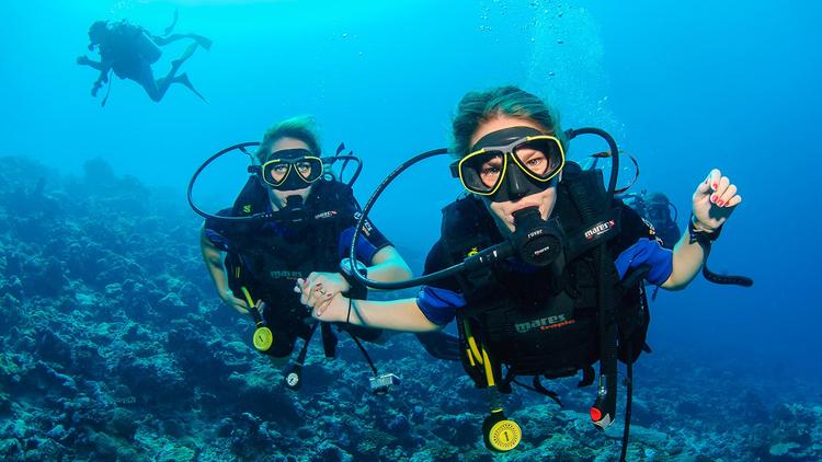 Scuba Diving in Bodrum