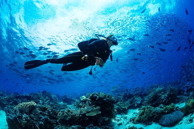Scuba Diving in Bodrum