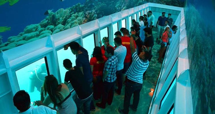 Marmaris Semi Submarine Tour 