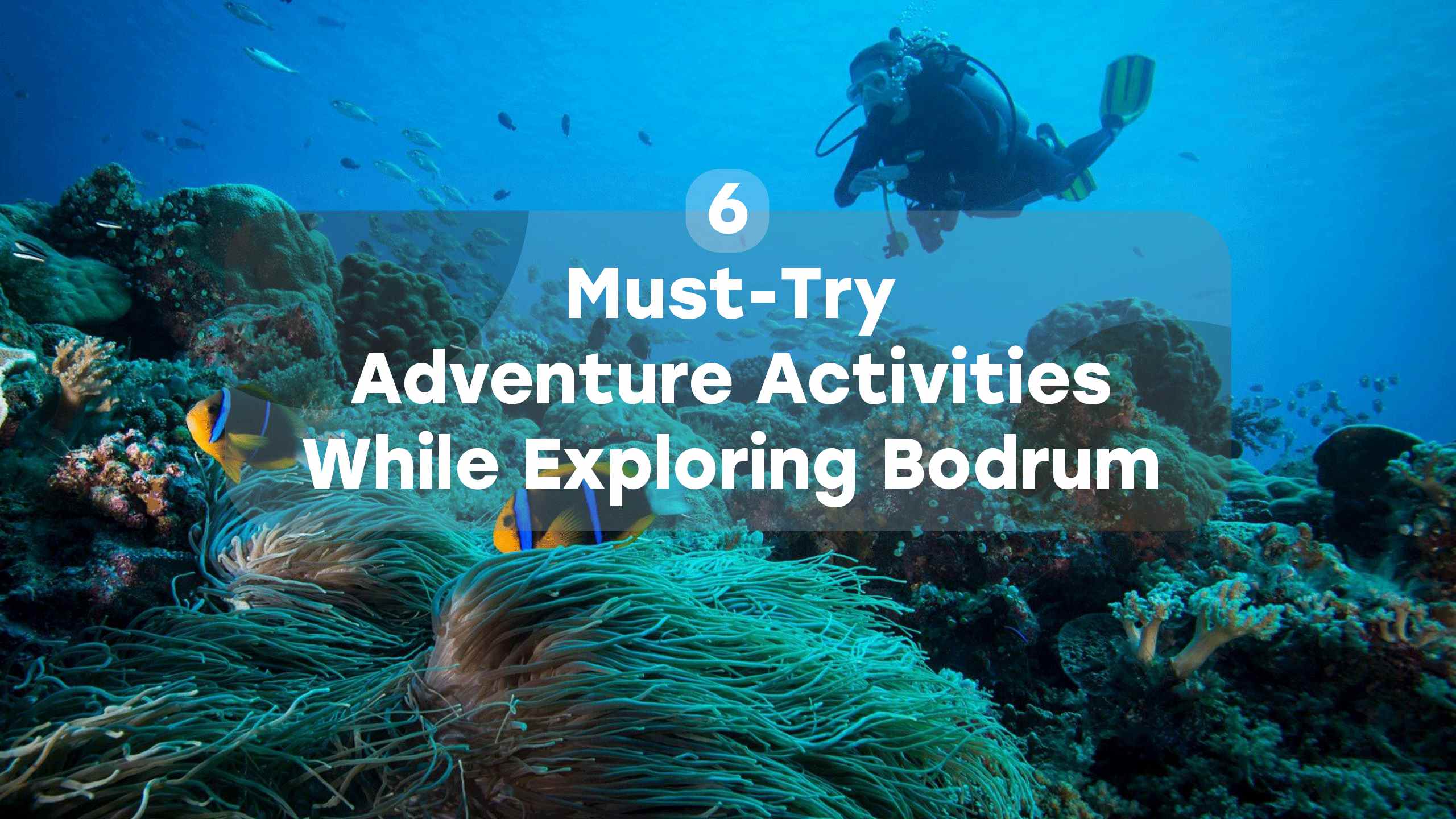 6 Must-Try Adventure Activities While Exploring Bodrum Everytours Travel Antalya