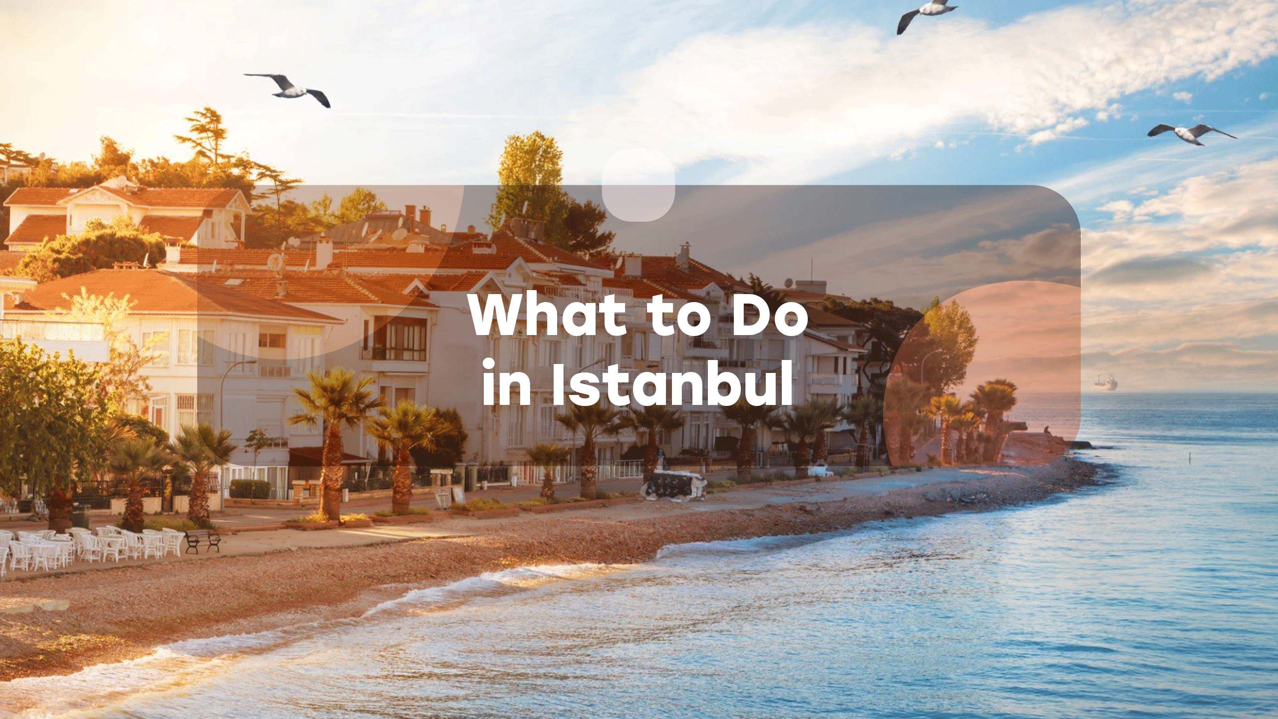 What to Do in Istanbul Everytours Travel Antalya
